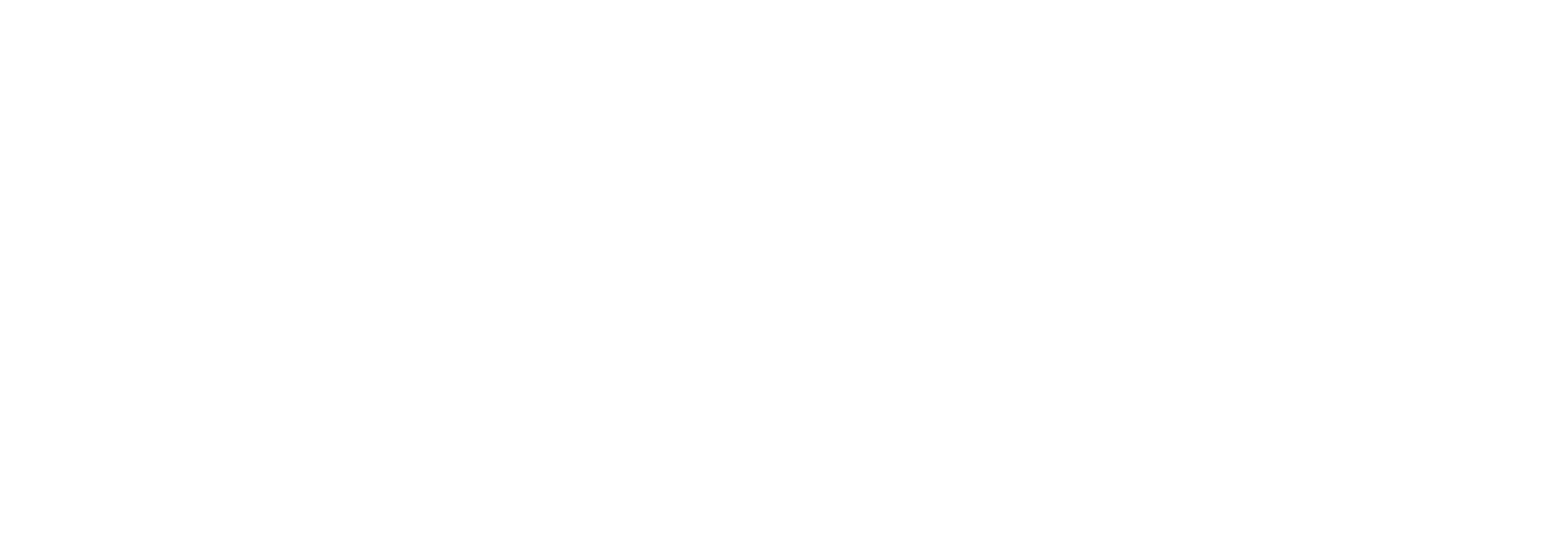 NordSpace logo (white)